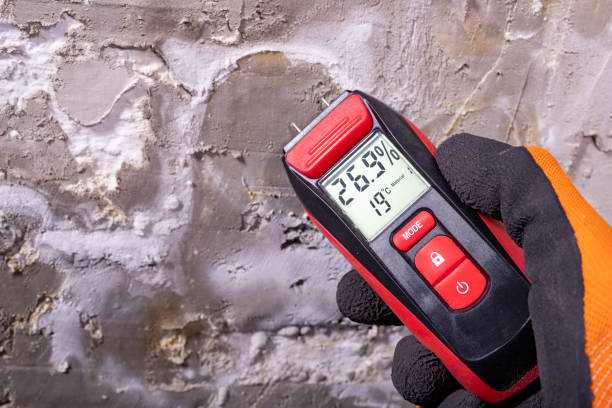 Best Attic Mold Removal  in Myrtle Beach, SC