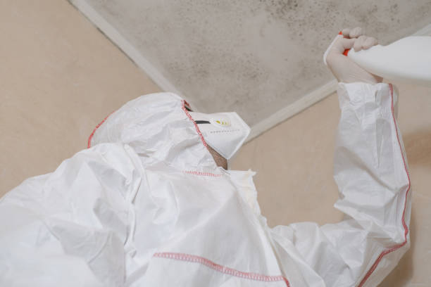 Best Certified Mold Removal  in Myrtle Beach, SC